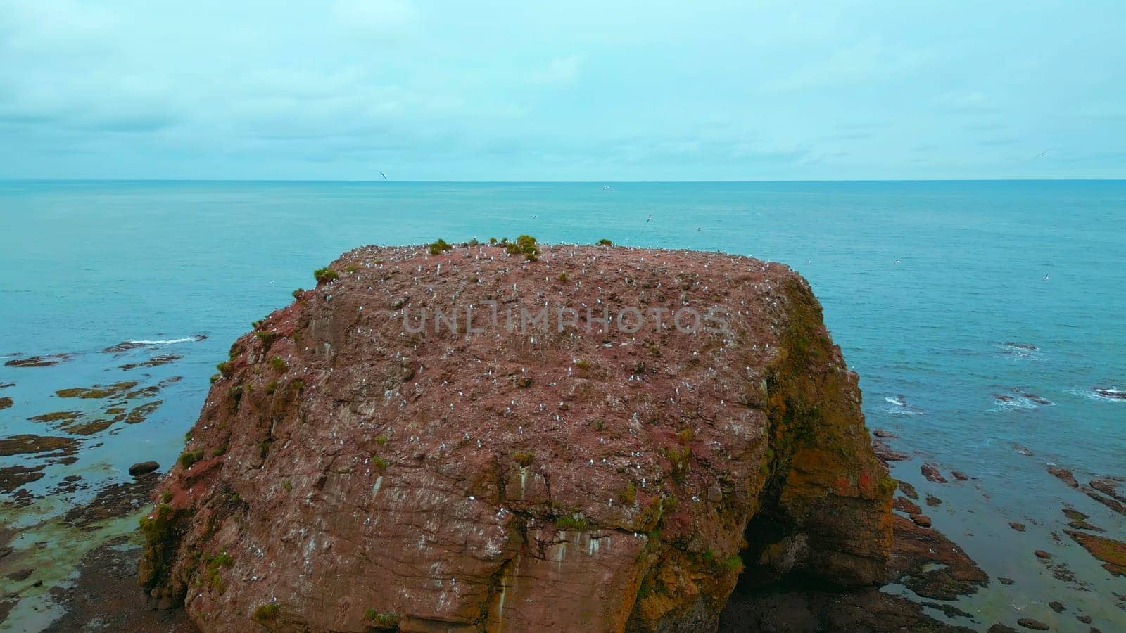Sea rock with house for seagulls. Clip. Top view of sea cliff with flying gulls on background of sea horizon. Cinematic view with rock and seagulls in sea.