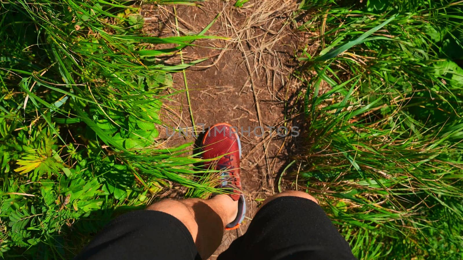 Close-up of man walking along path with green grass. Clip. Man in sports sneakers walks along mountain trail on sunny summer day. Sports walk in sneakers on narrow path with green grass by Mediawhalestock