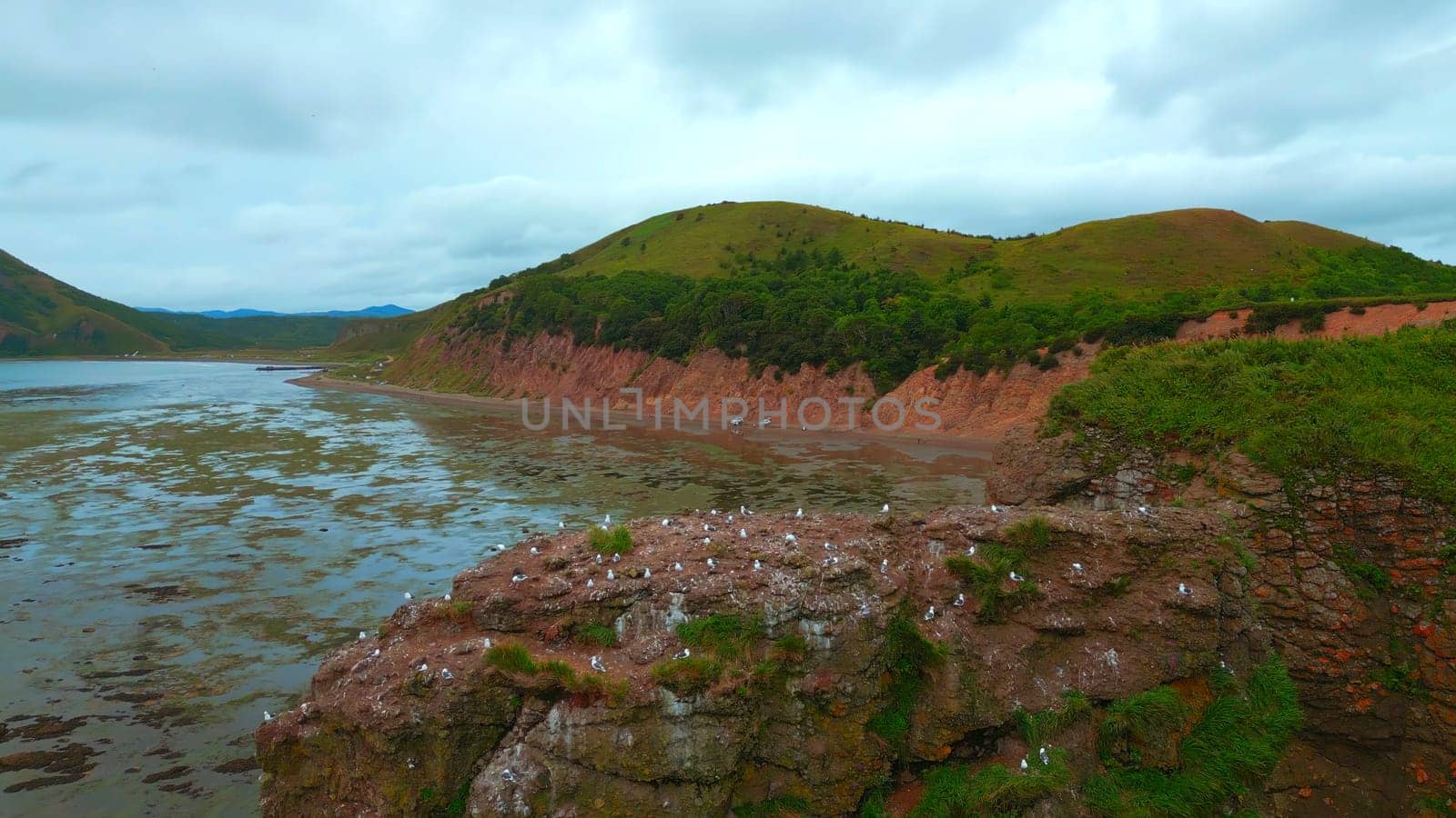 Rocky bay with swampy water. Clip. Amazing natural landscape with rocks in swampy sea bay. Rocky sea bay with algae.