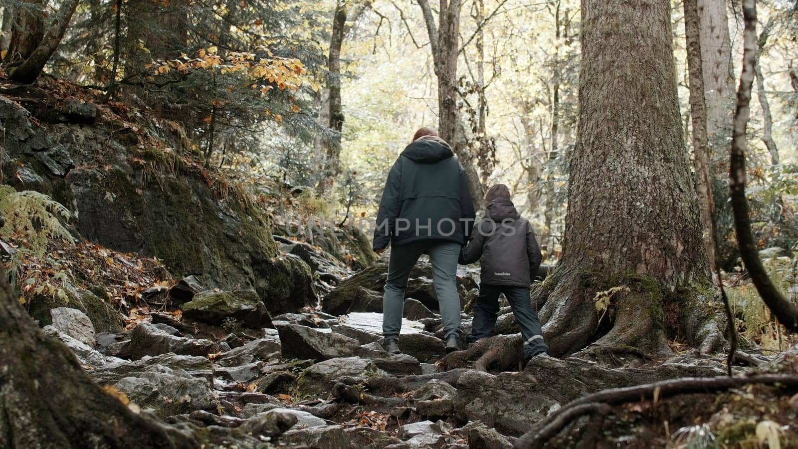 Hikers mother and child hiking up the extreme hill covered with tree roots at fall. Creative. Walking along the tall forest trees. by Mediawhalestock