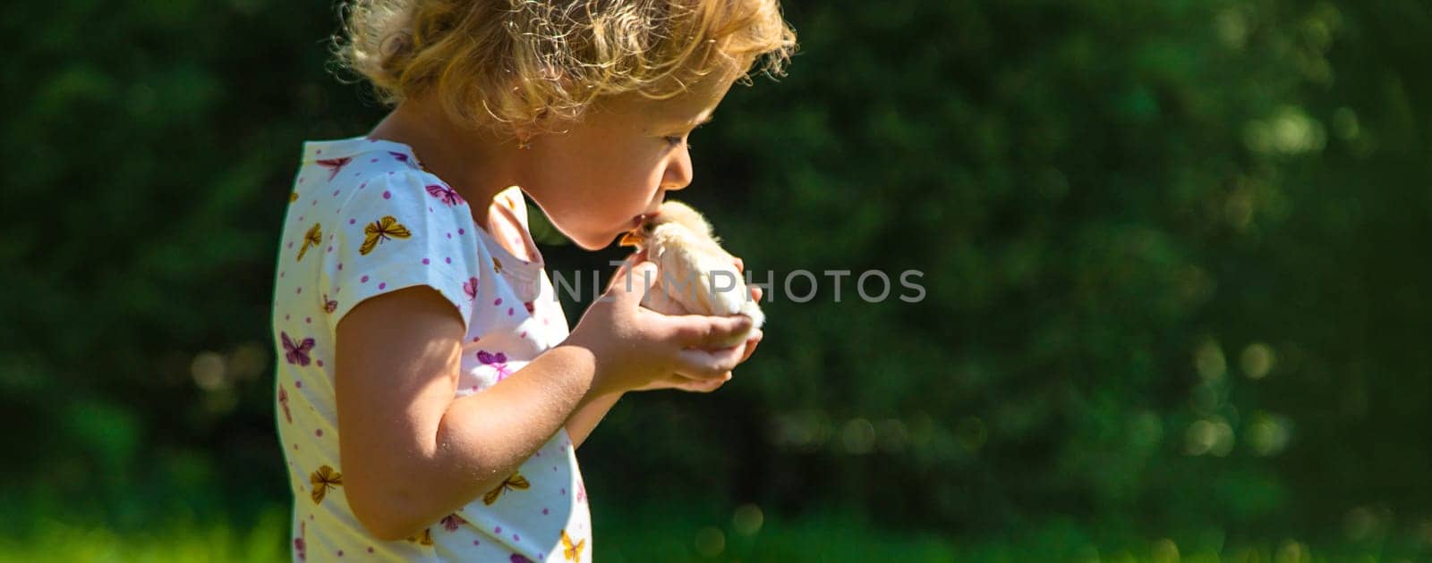 A child plays with a chicken. Selective focus. by yanadjana