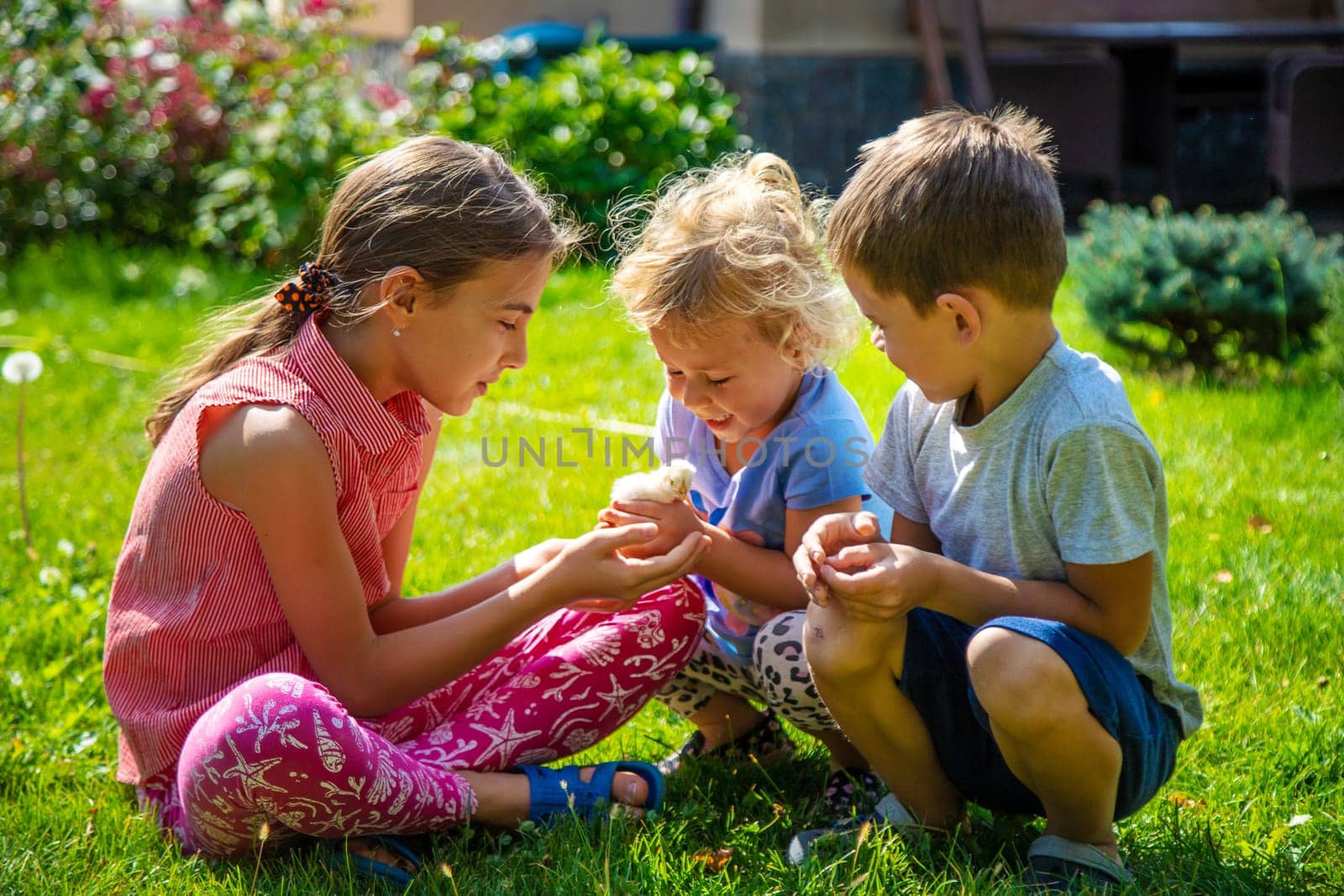 A child plays with a chicken. Selective focus. by yanadjana