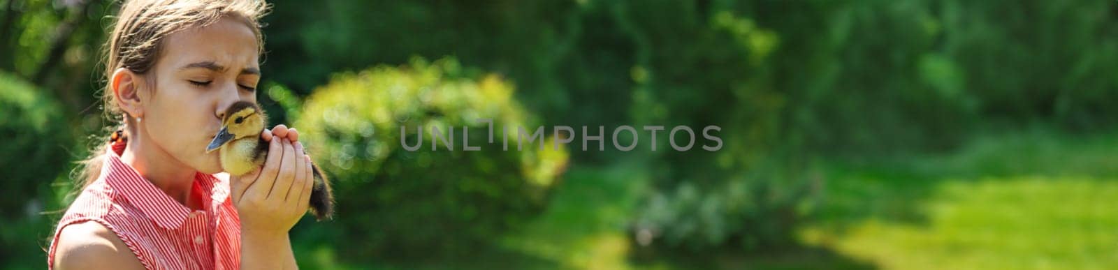 A child plays with a duckling. Selective focus. by yanadjana