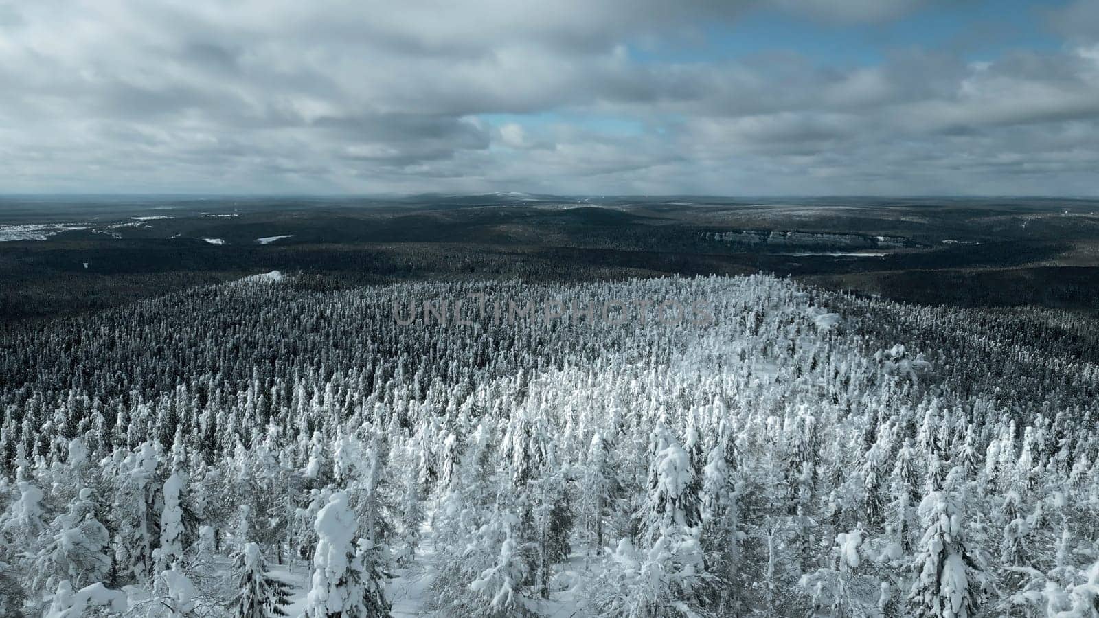 Slow motion aerial view of snowy trees in beautiful winter forest. Clip. Winter landscape in frozen mountains nature. by Mediawhalestock