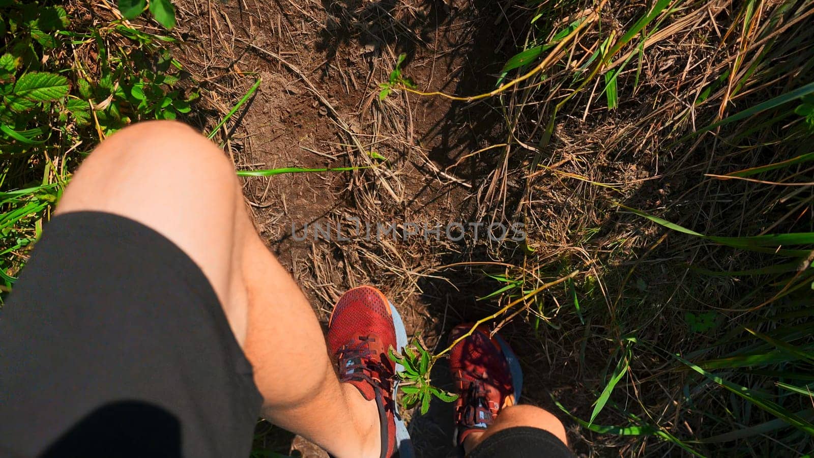 Close-up of man walking along path with green grass. Clip. Man in sports sneakers walks along mountain trail on sunny summer day. Sports walk in sneakers on narrow path with green grass by Mediawhalestock