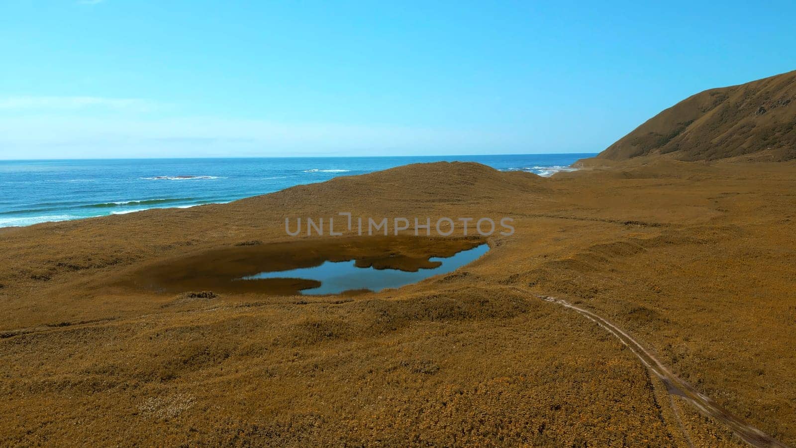 Small pond in the middle of dry green grass. Clip. Aerial of autumn countryside landscape and the sea shore