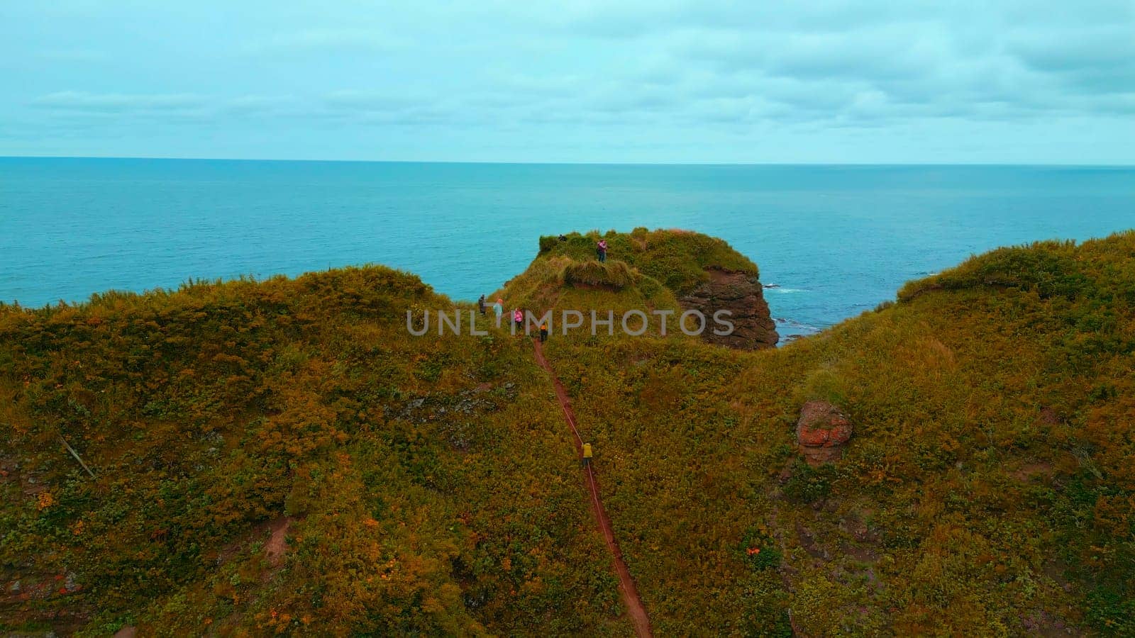 Top view of group of people standing on edge of coast. Clip. Tourists are standing on rocky shore overlooking sea horizon. Tourists on rock with beautiful grass by sea on cloudy day.