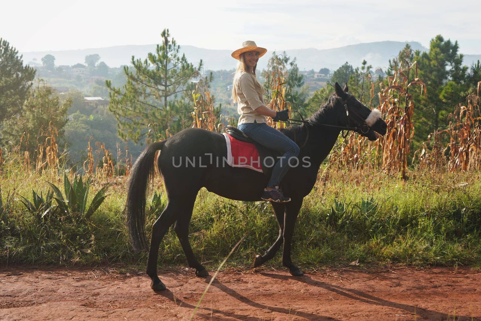 Young woman in shirt and straw hat, riding black horse in the park on sunny morning, blurred background with corn plants, houses and trees by Ivanko