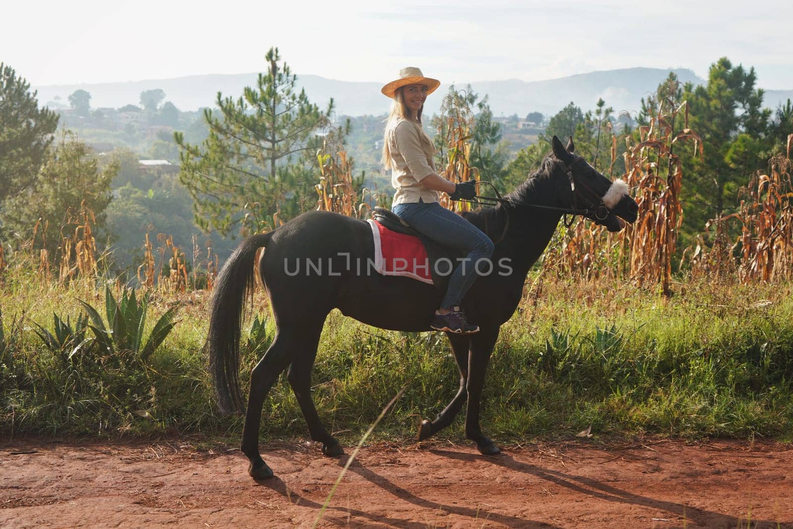 Young woman in shirt and straw hat, riding black horse in the park on sunny morning, blurred background with corn plants, houses and trees