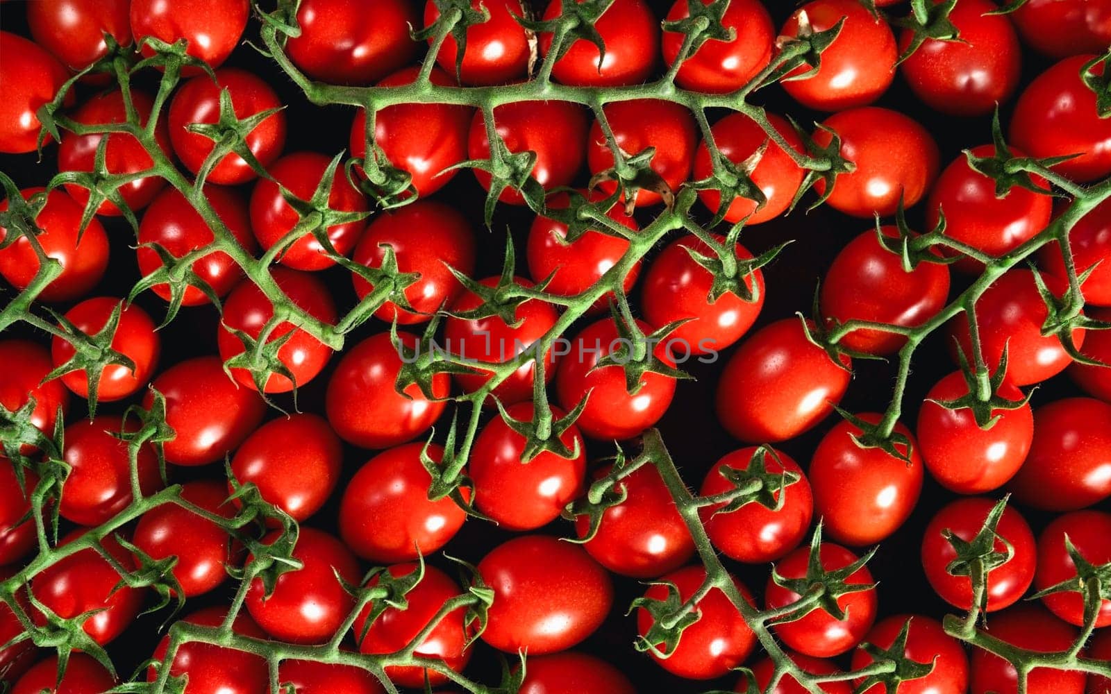 Heap of many cherry red tomatoes with green vines, view from above