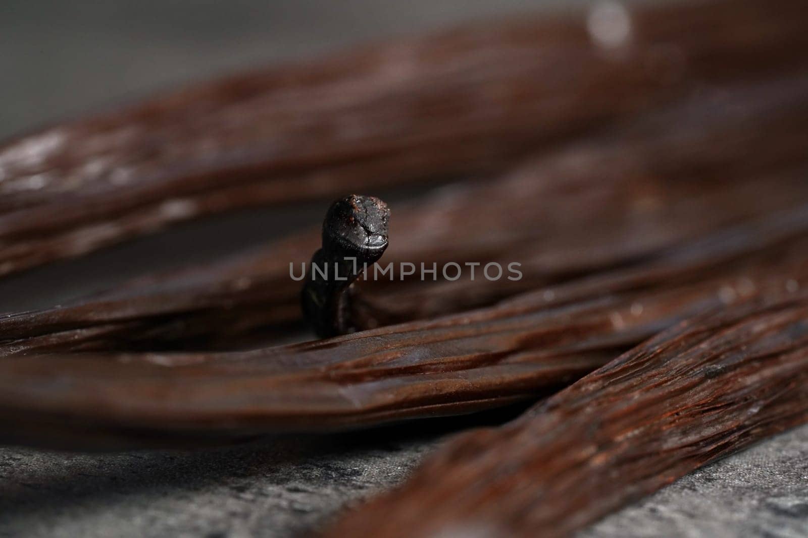 Brown vanilla bean, closeup macro detail, only tip of stick in focus, abstract gourmet background