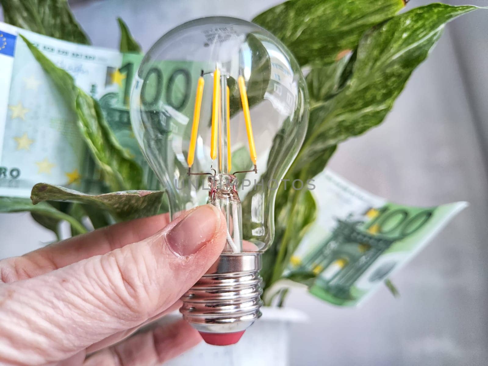 Green flower, euro paper banknotes and an energy-saving lamp. The concept of cost savings and economy, natural energy sources