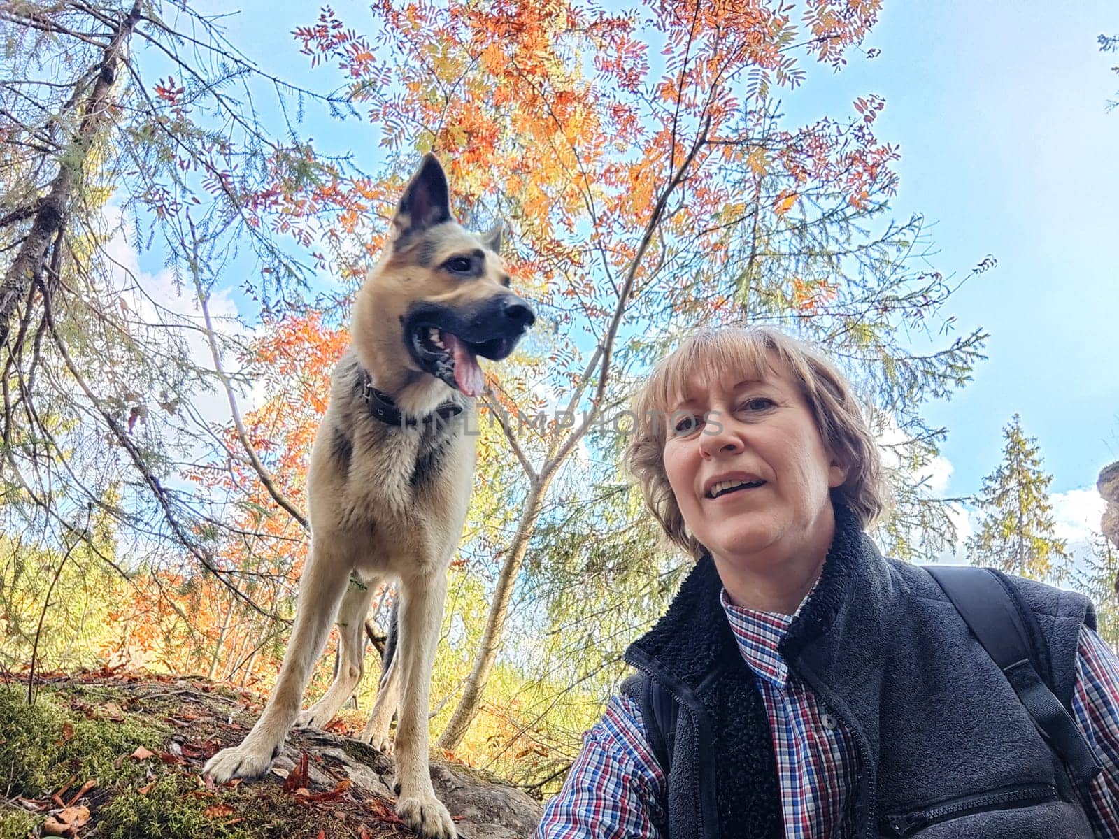 Adult girl with shepherd dog taking selfies in forest. Middle aged woman and big shepherd dog on nature. Friendship, love, communication, fun, hugs