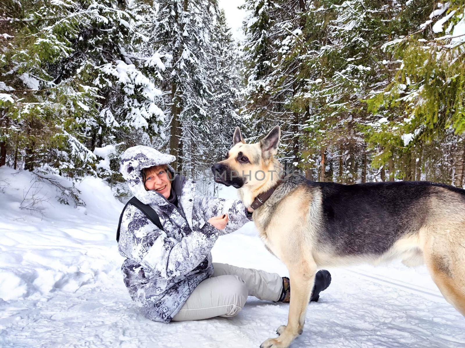 Adult girl or mature lady with shepherd dog in winter nature landscape in forest. Middle aged woman training big shepherd dog in cold day. Friendship, love, communication, fun, hugs