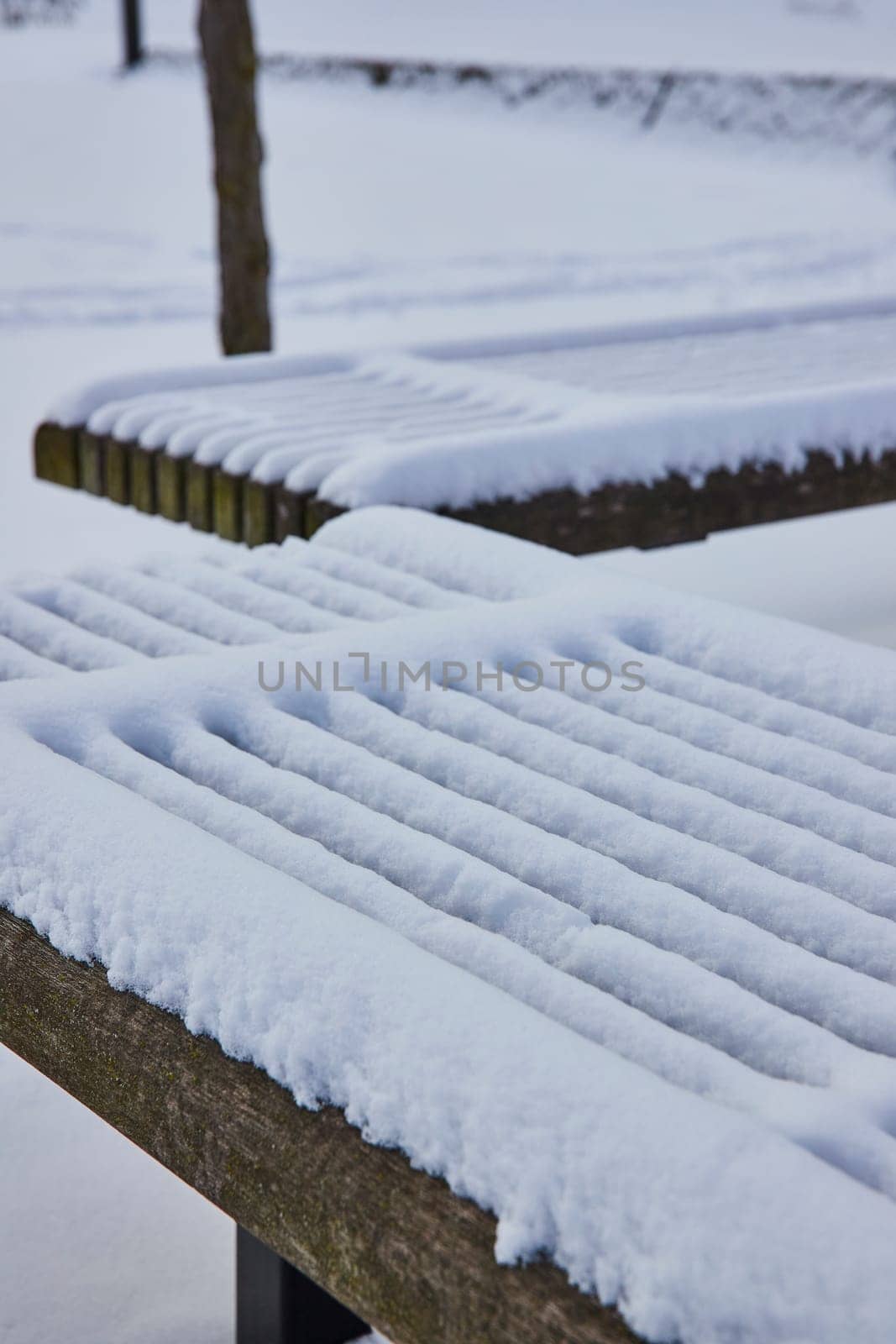 Freshly fallen snow blankets a serene wooden bench in downtown Fort Wayne's Freimann Square, capturing a tranquil winter morning.