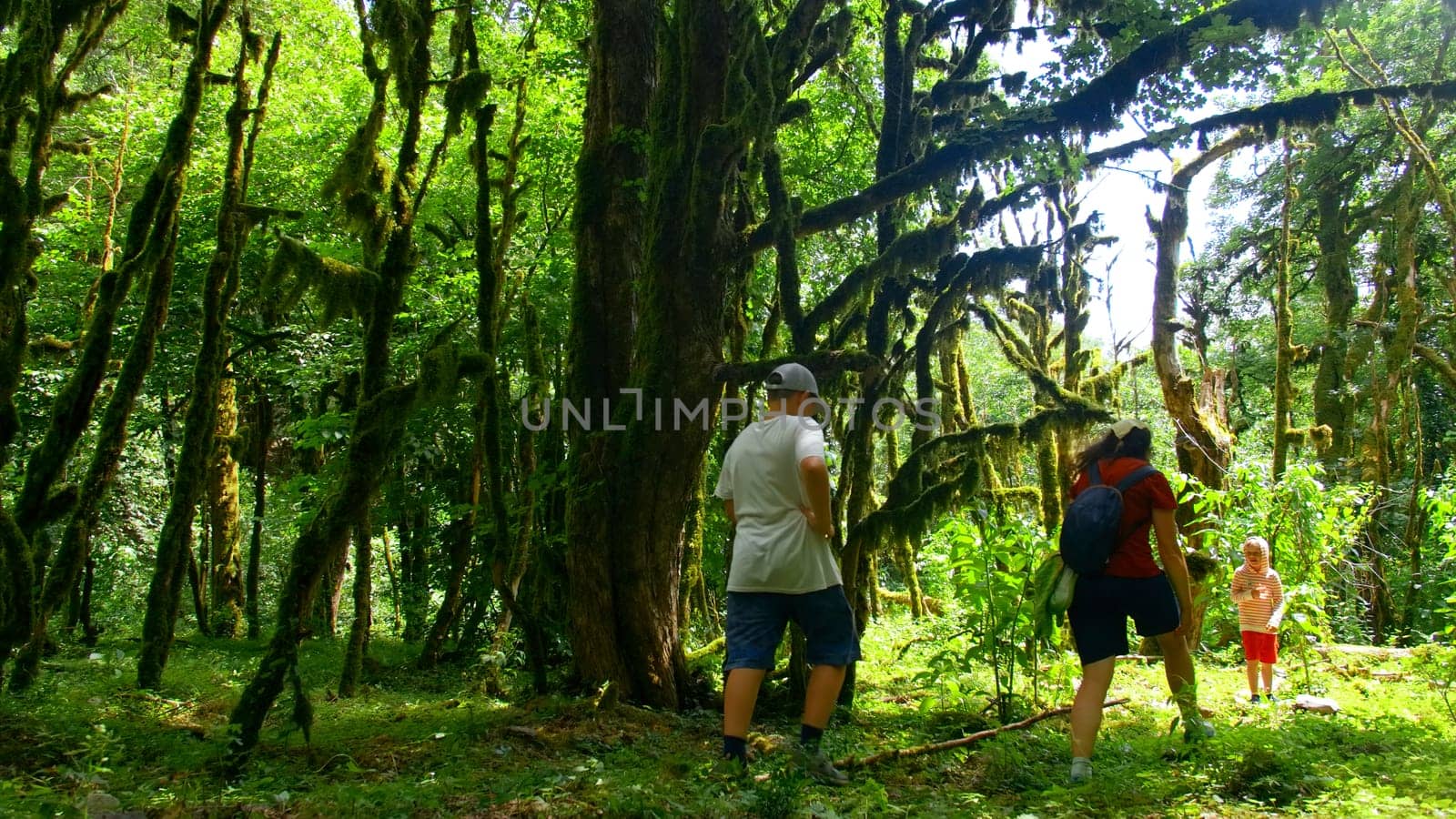 Hiking young woman and two boys walking together on the trail with backpack. Creative. Green beautiful vegetation and shining sun