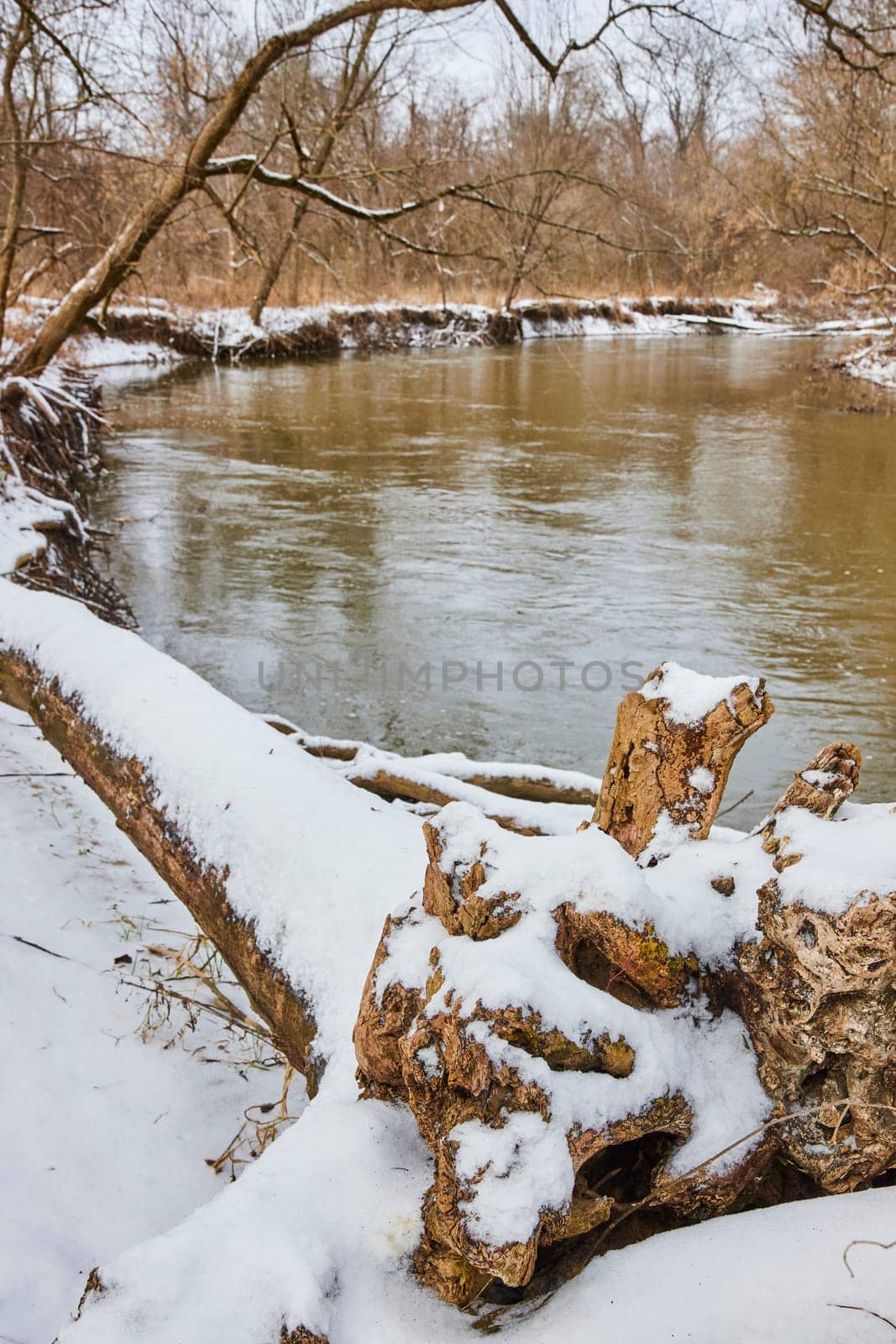 Winter's Tranquility at Cooks Landing County Park, Indiana - Snow-Coated Wilderness with a Serene River View