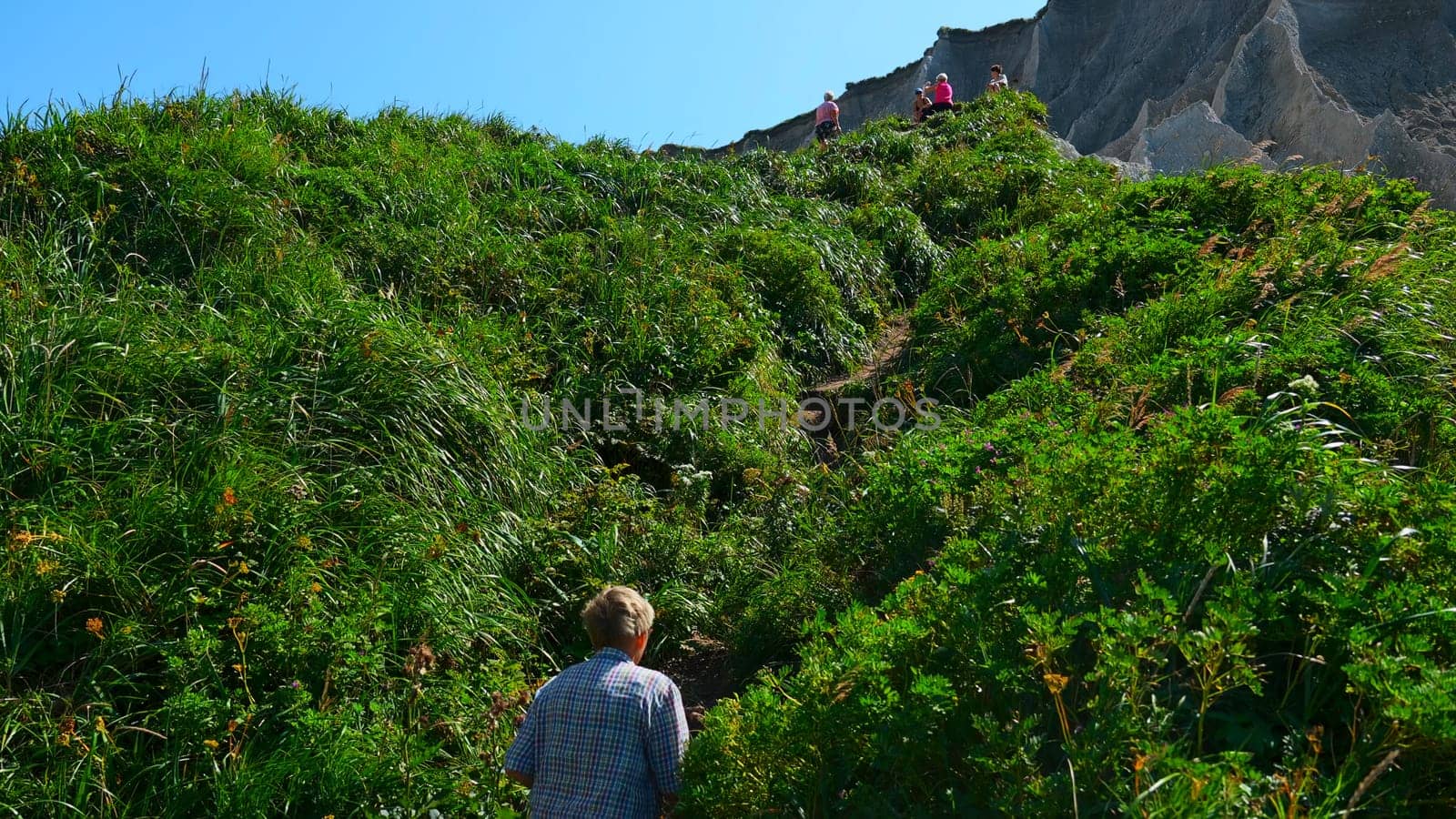 Grandfather on hike in mountains in summer. Clip. Elderly man walks along mountain path on sunny summer day. Rear view of elderly man walking on hike in hills with green grass.