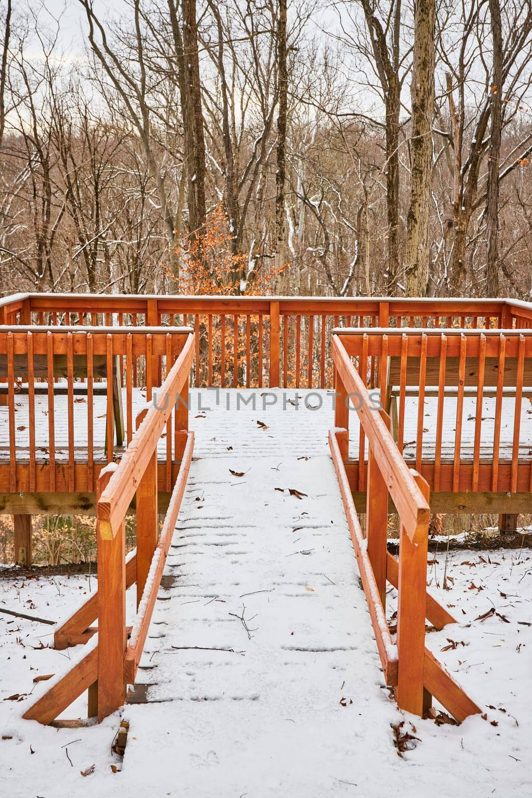 Snowy Bliss in Whitehurst Nature Preserves, Indiana - A Wooden Boardwalk Meandering Through a Winter Wonderland