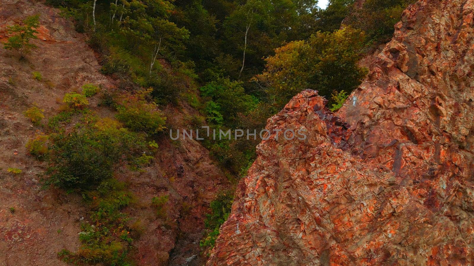 Top view of rocky ridge with forest gorge. CLip. Amazing nature with rocky slopes of green gorge. Cinematic rocks with green trees in gorge.
