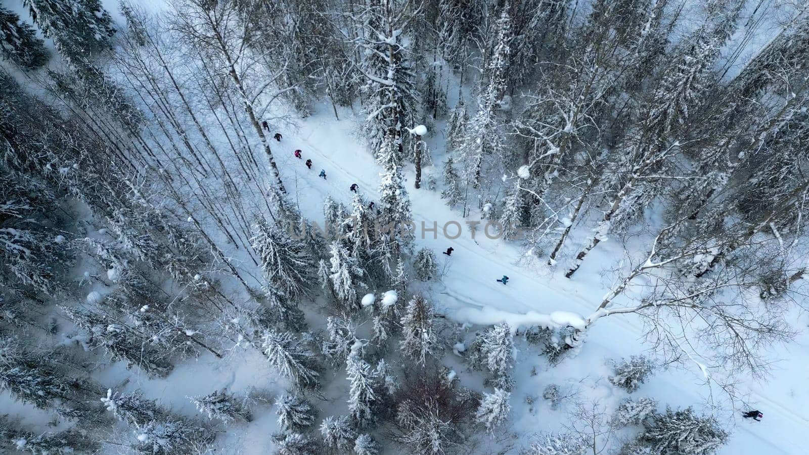 Aerial top down view of group of hikers following one by one the snow covered path. Clip. Winter forest and falling snow