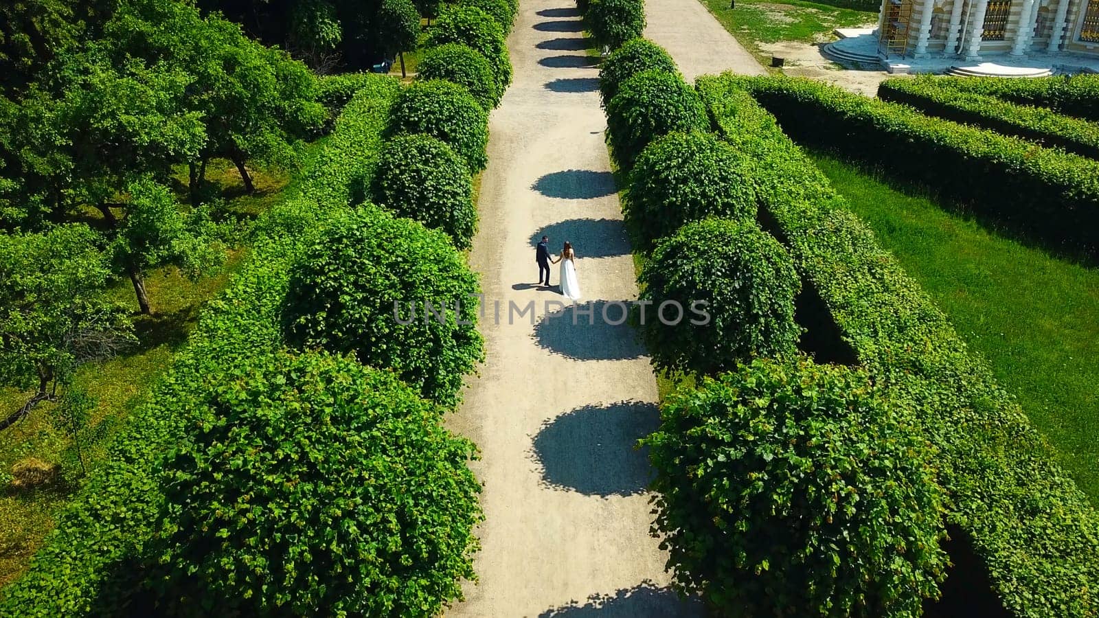 Top view of newlyweds in garden. Creative. Couple of newlyweds are walking in palace garden. Rich newlyweds on their wedding day in garden of ancient estate by Mediawhalestock
