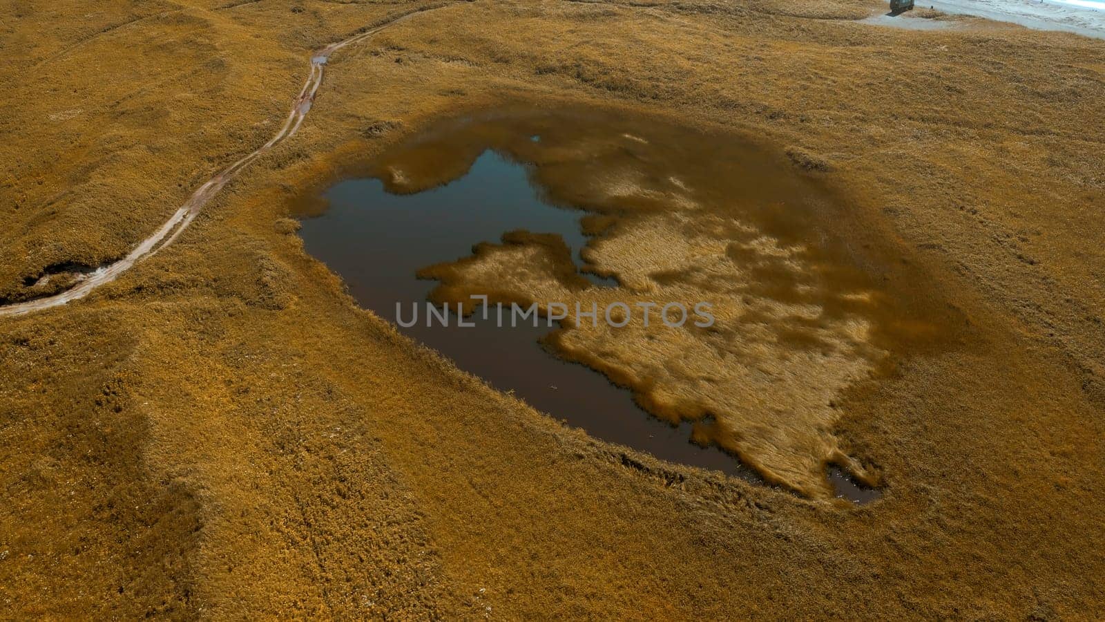 Idyllic countryside landscape with tiny lake in dried yellow field. Clip. Autumn valley and sea shore. by Mediawhalestock