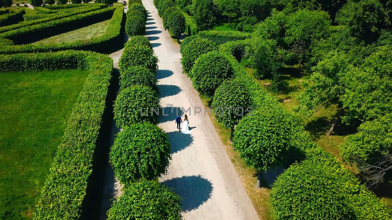 Beautiful couple of newlyweds walking in palace garden. Creative. Top view of newlyweds walking along alley in park. Palace Park with geometric paths and walking newlyweds.