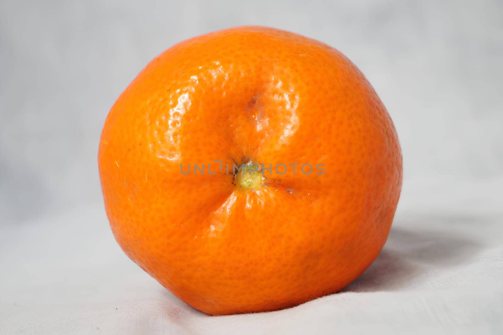 A large orange on a white background. High quality photo