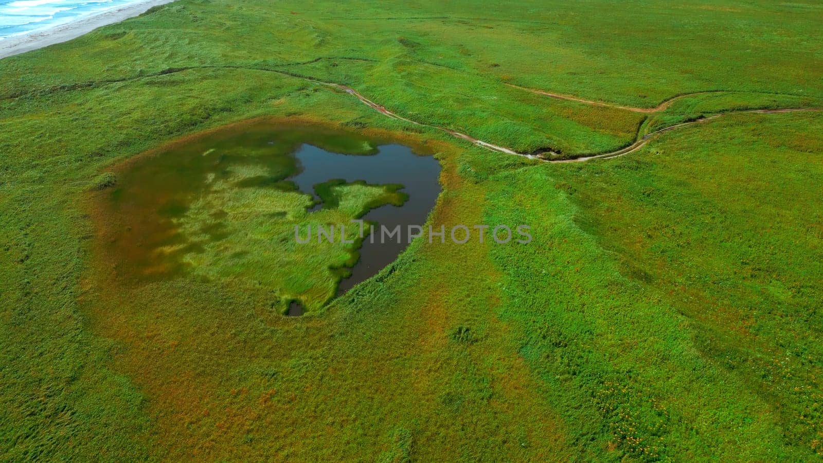 Small pond on green agricultural field in spring. Clip. Aerial of green meadow and tiny lake. by Mediawhalestock