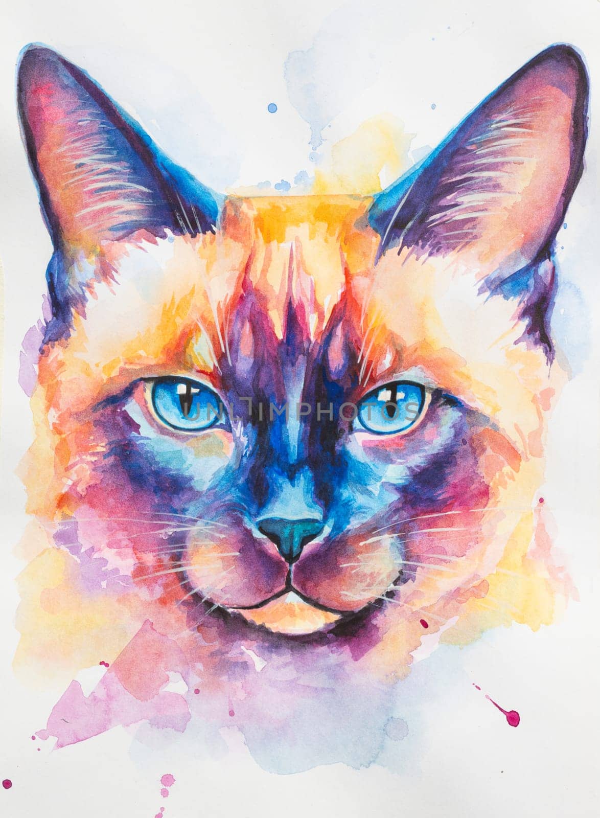 Siamese Cat painted in watercolor on a white background in a realistic manner, colorful, rainbow. Ideal for teaching materials, books and nature-themed designs. Cat paint splash icons