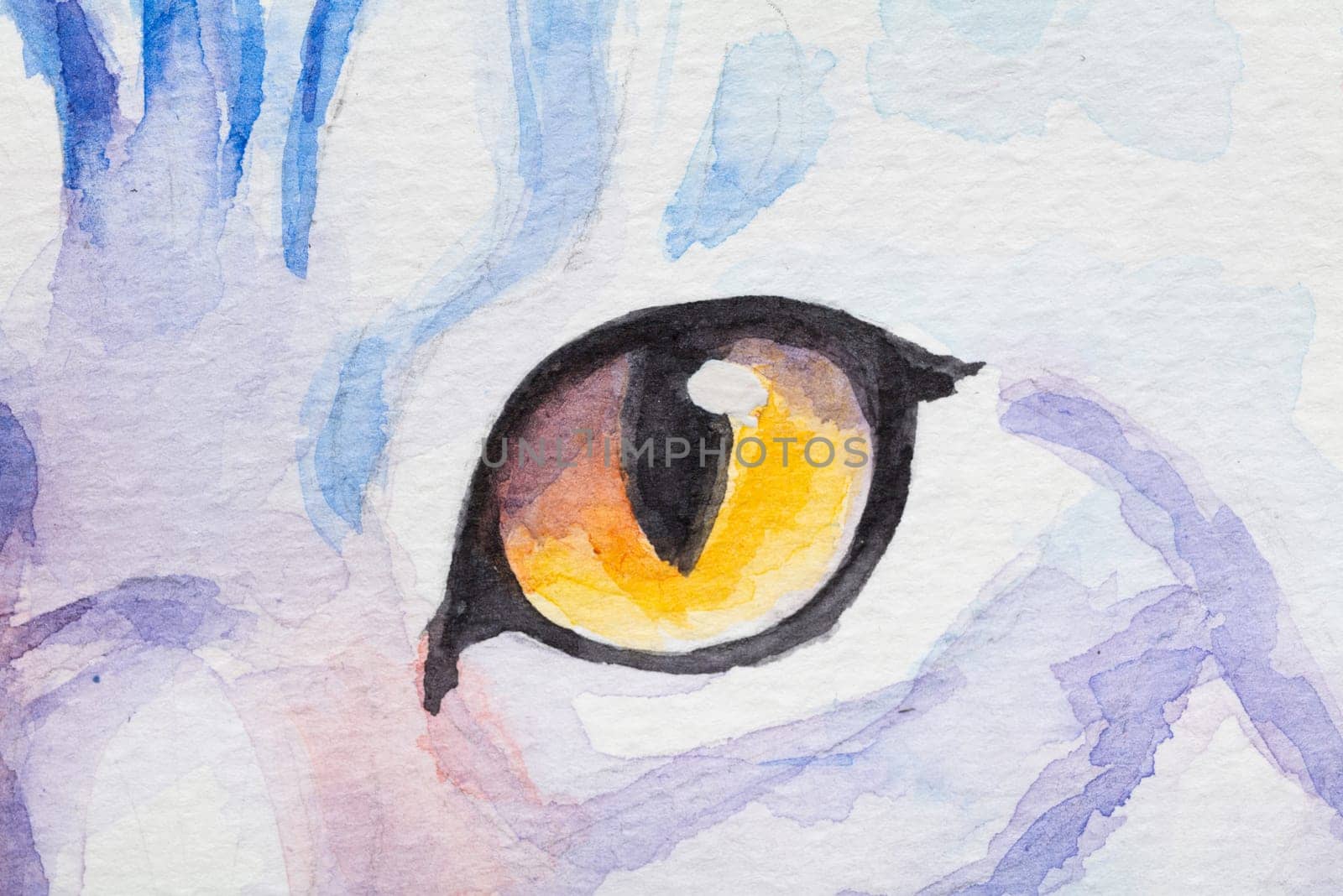 Eye of American Shorthair painted in watercolor on a white background in a realistic manner, colorful, rainbow. Ideal for teaching materials, books and nature-themed designs. Cat paint splash icons