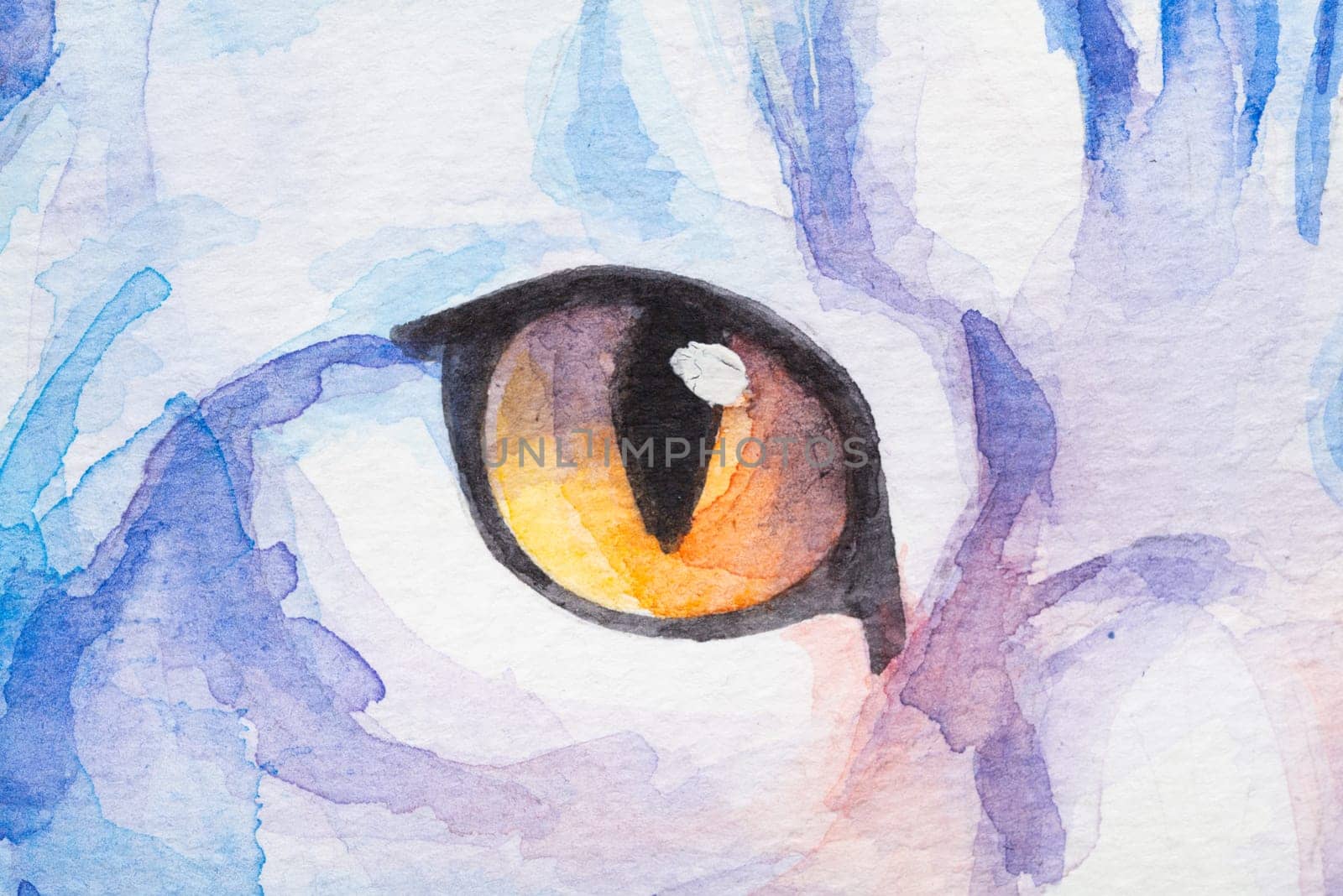 Eye of American Shorthair painted in watercolor on a white background in a realistic manner, colorful, rainbow. Ideal for teaching materials, books and nature-themed designs. Cat paint splash icons