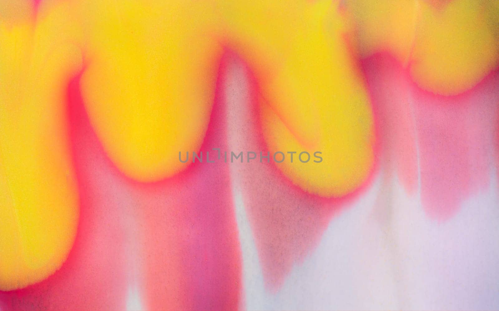 Red and blue fluid wave. Duotone compositions with gradient flow shape. Innovation modern background. Abstract Fluid Acrylic Painting. Liquid background.