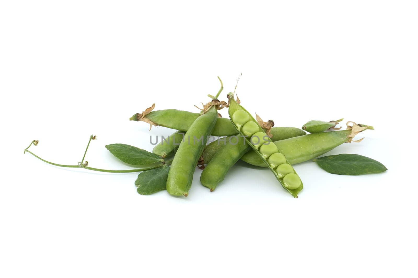 Pea pod is open and green peas inside over white background by NetPix