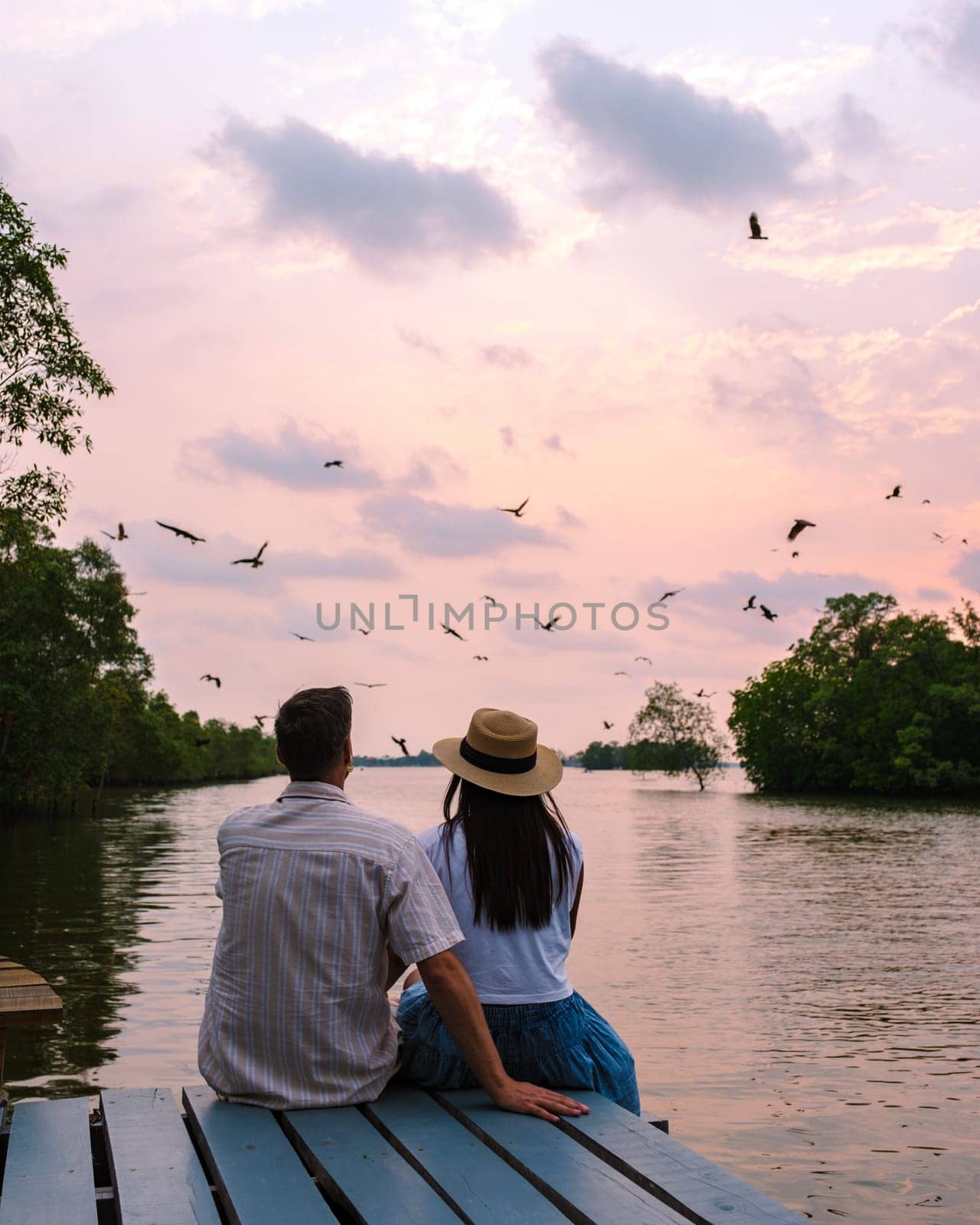 Sea Eagles at sunset in the mangrove of Chantaburi in Thailand by fokkebok