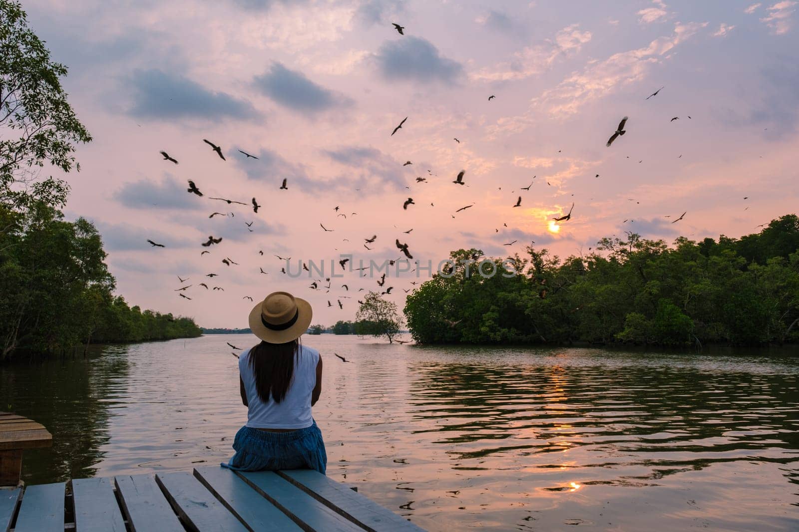 Sea Eagles at sunset in the mangrove of Chantaburi in Thailand by fokkebok