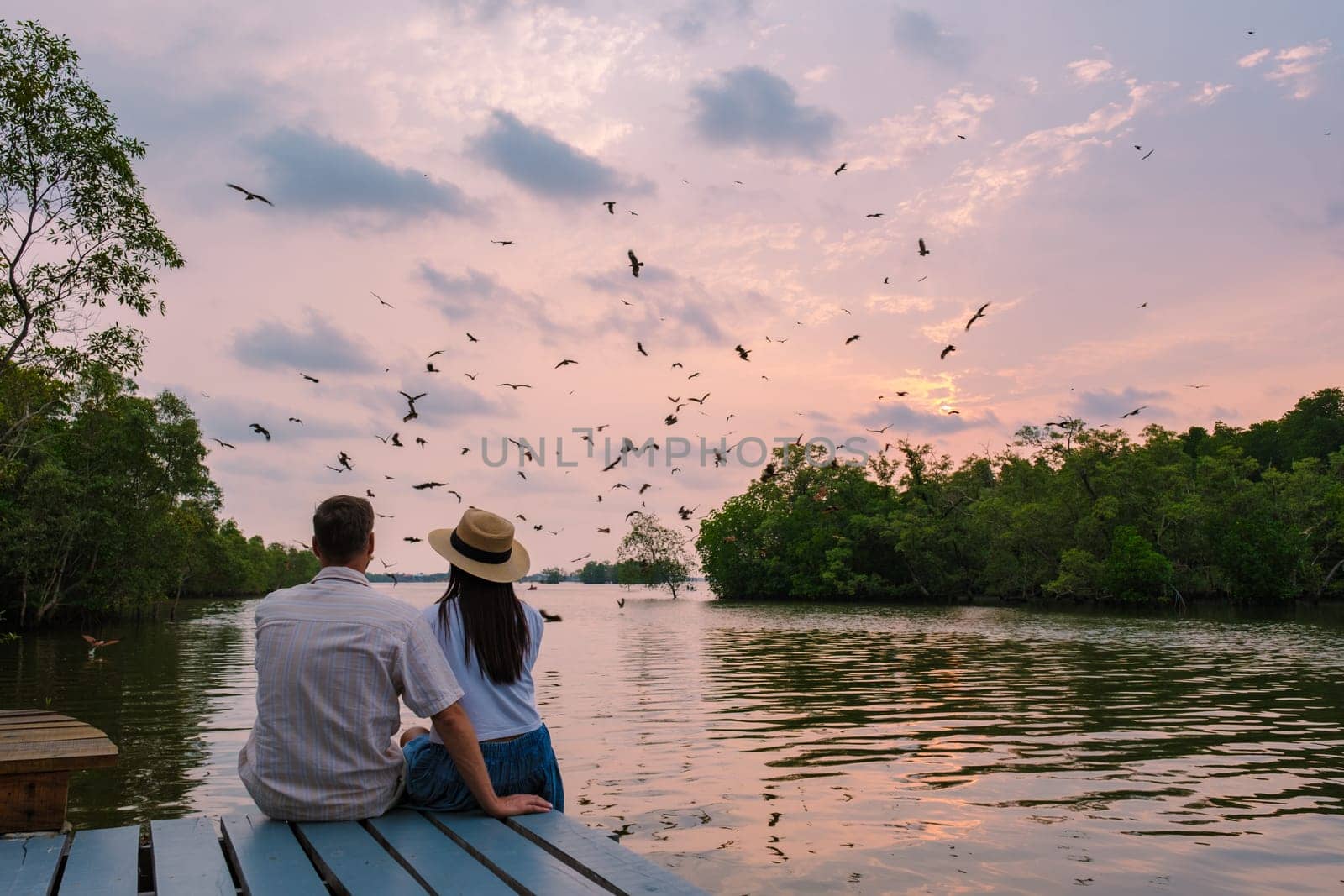 Sea Eagles at sunset in the mangrove of Chantaburi in Thailand, Red backed sea eagle , couple of men and women watching the sunset on a wooden pier in the mangrove forest