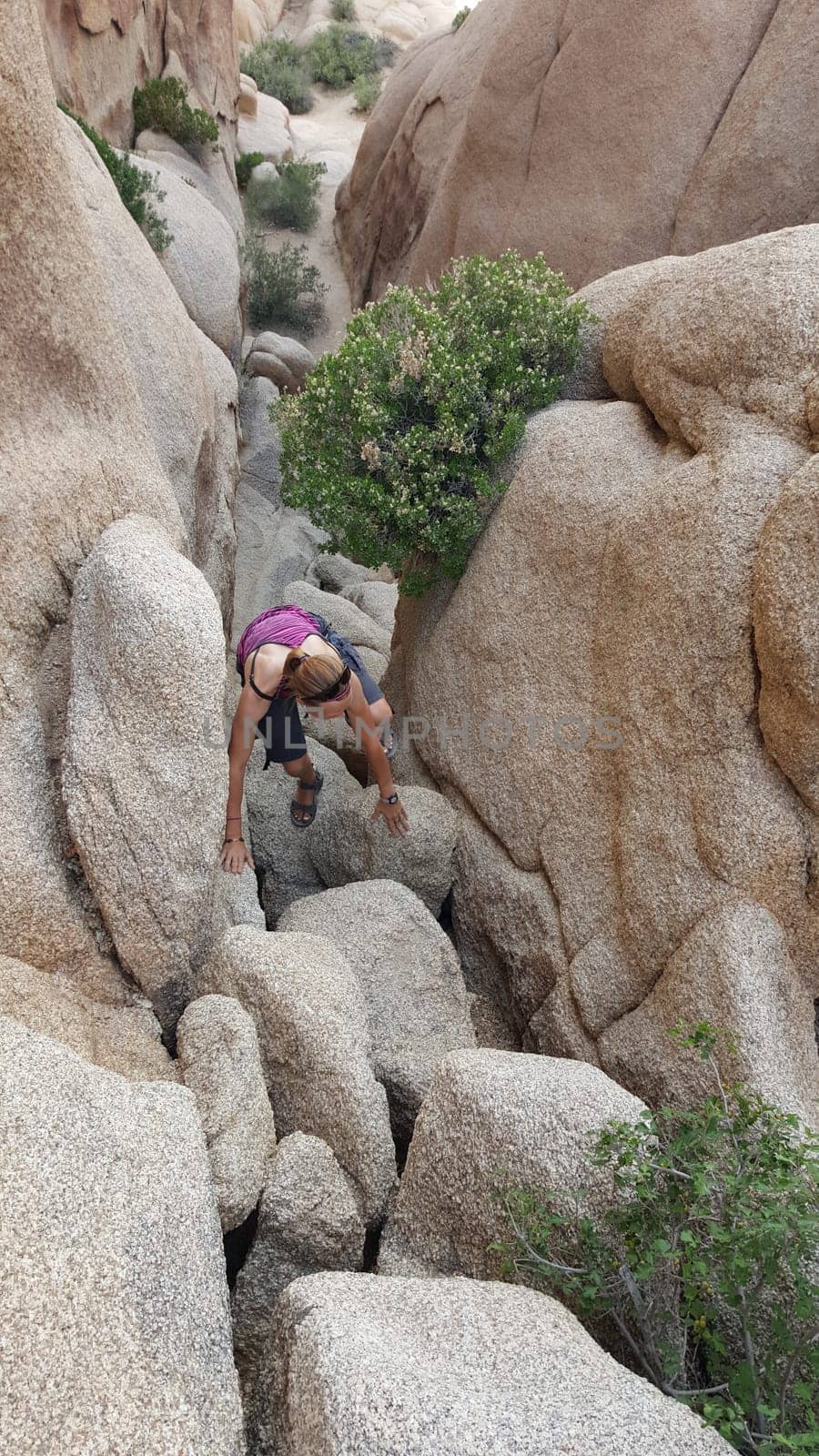 Fit Woman Hiking in Joshua Tree National Park, California . High quality photo