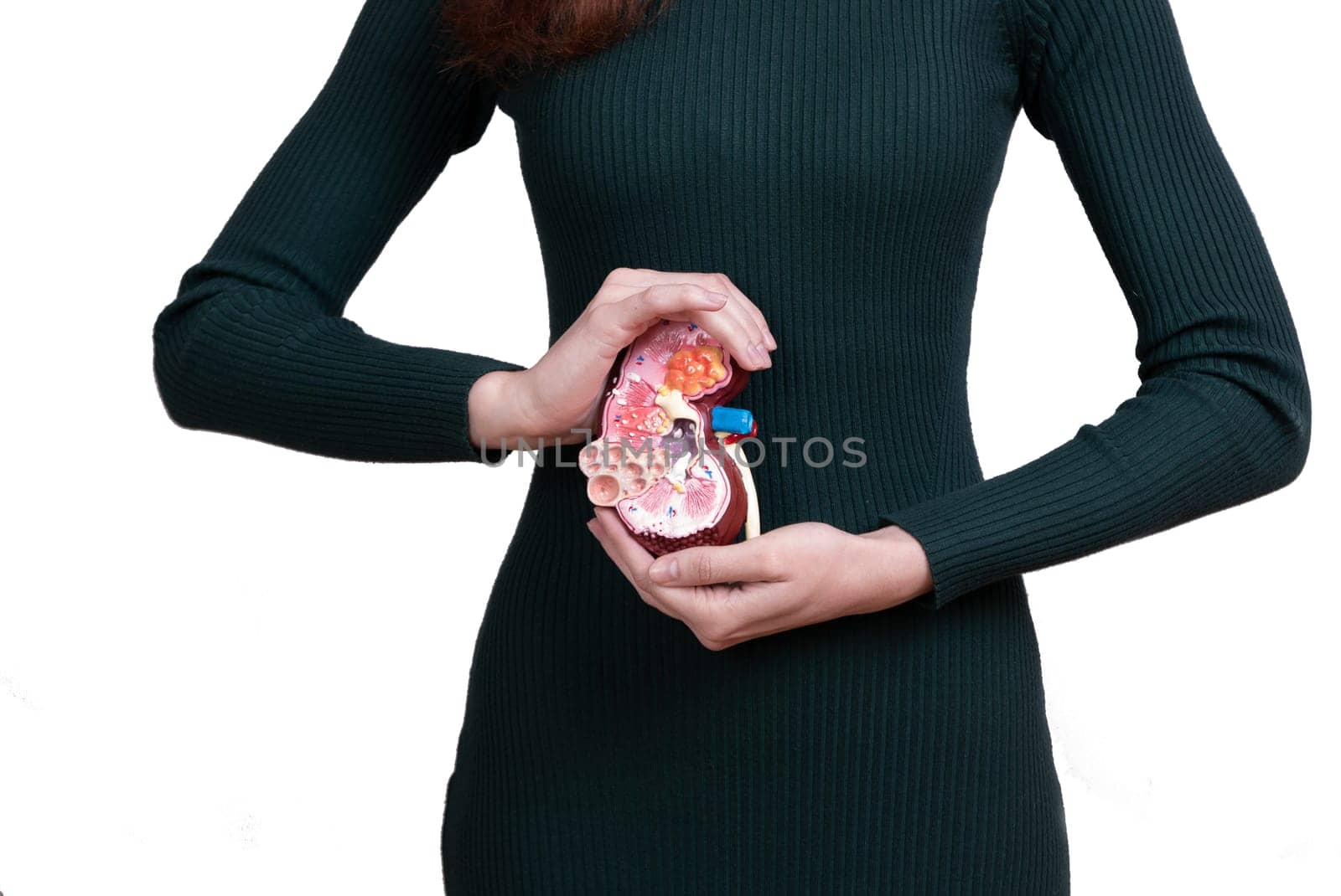 woman is holding mockup human kidney . Help and care concept. Help and care concept