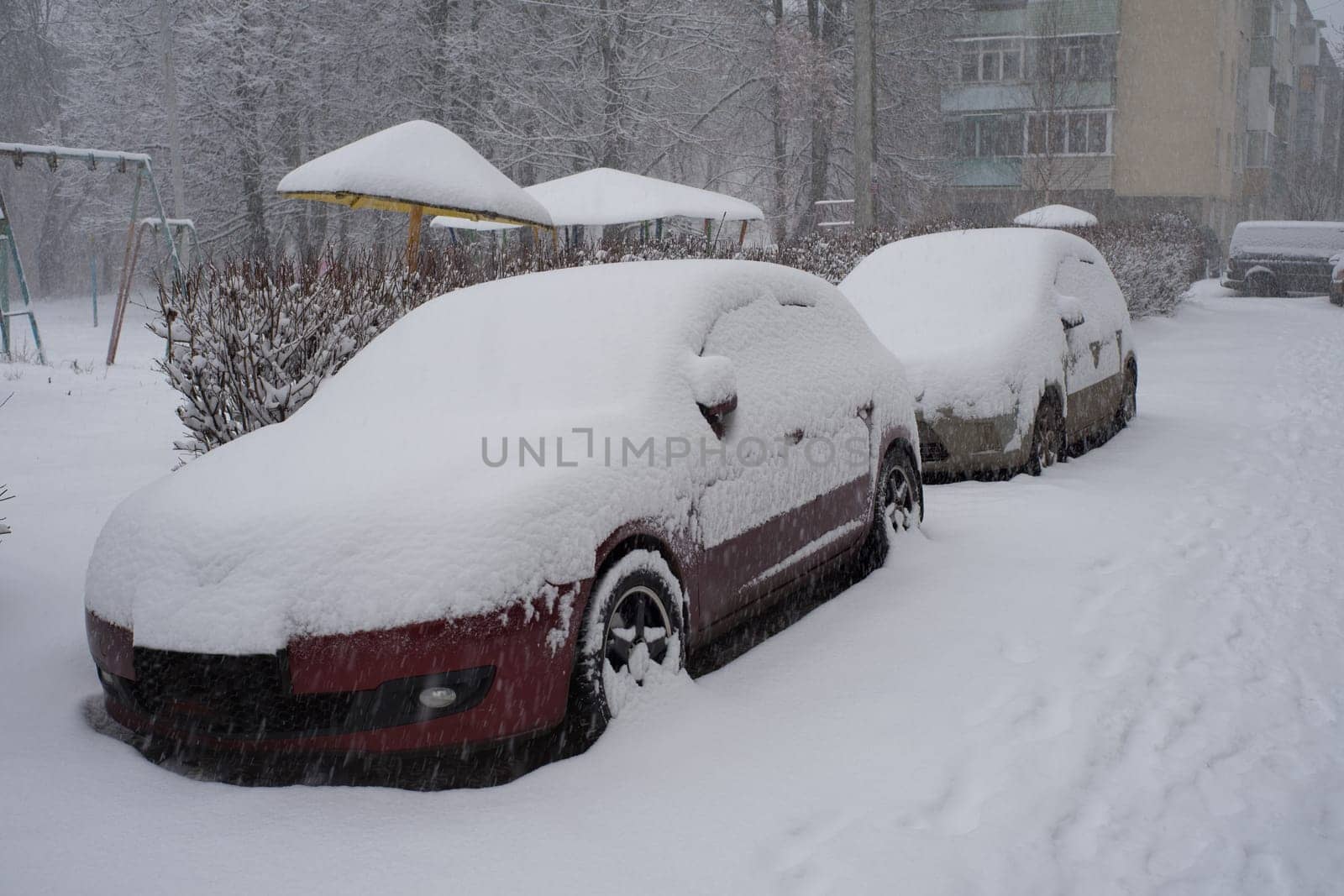 Cars covered in snow on a parking.