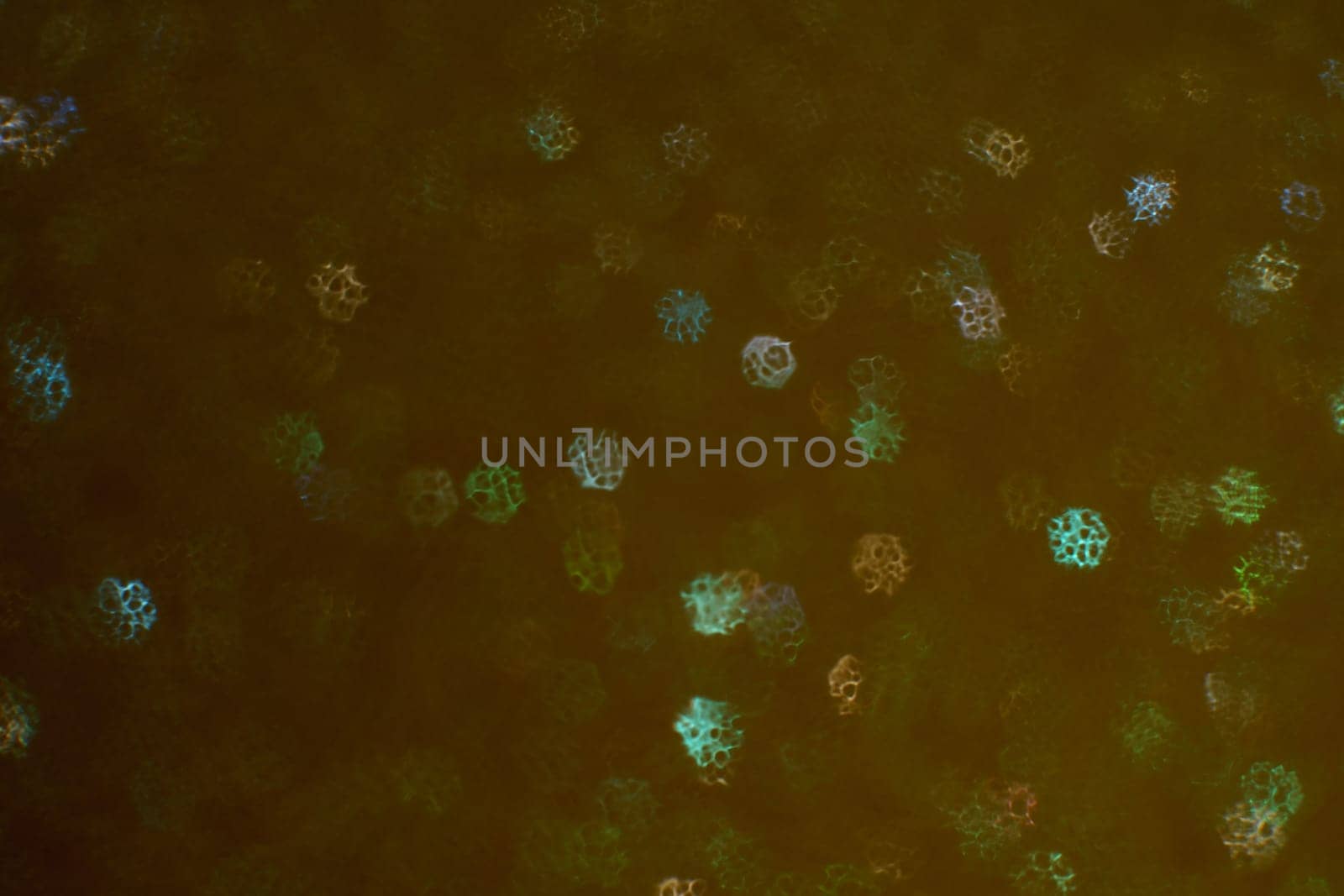 Christmas background. Festive abstract background with bokeh defocused lights and stars.