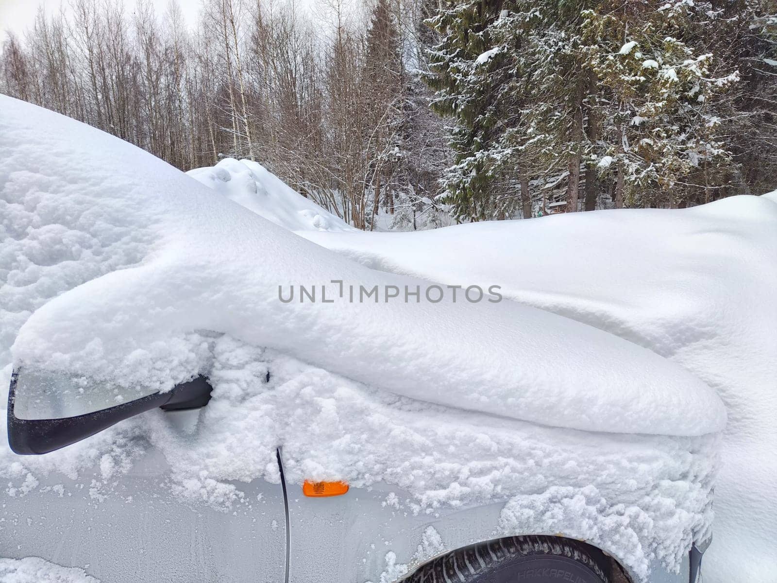 Snow-Covered Car Parked in A Winter Forest Landscape During A Heavy Snowfall by keleny