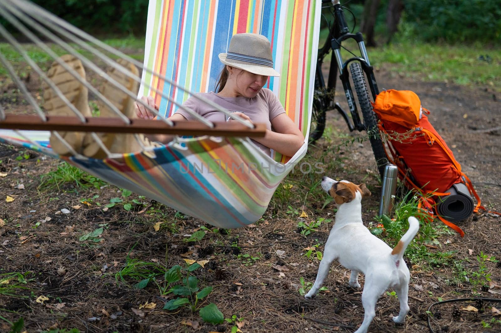 Caucasian woman lies in a hammock with Jack Russell Terrier dog in a pine forest.
