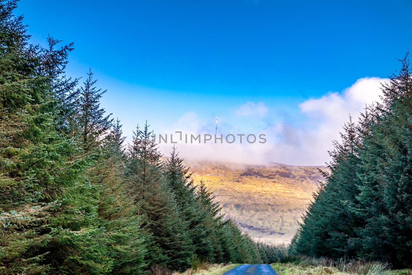 The Gleniff Horseshoe in County Leitrim - Ireland.