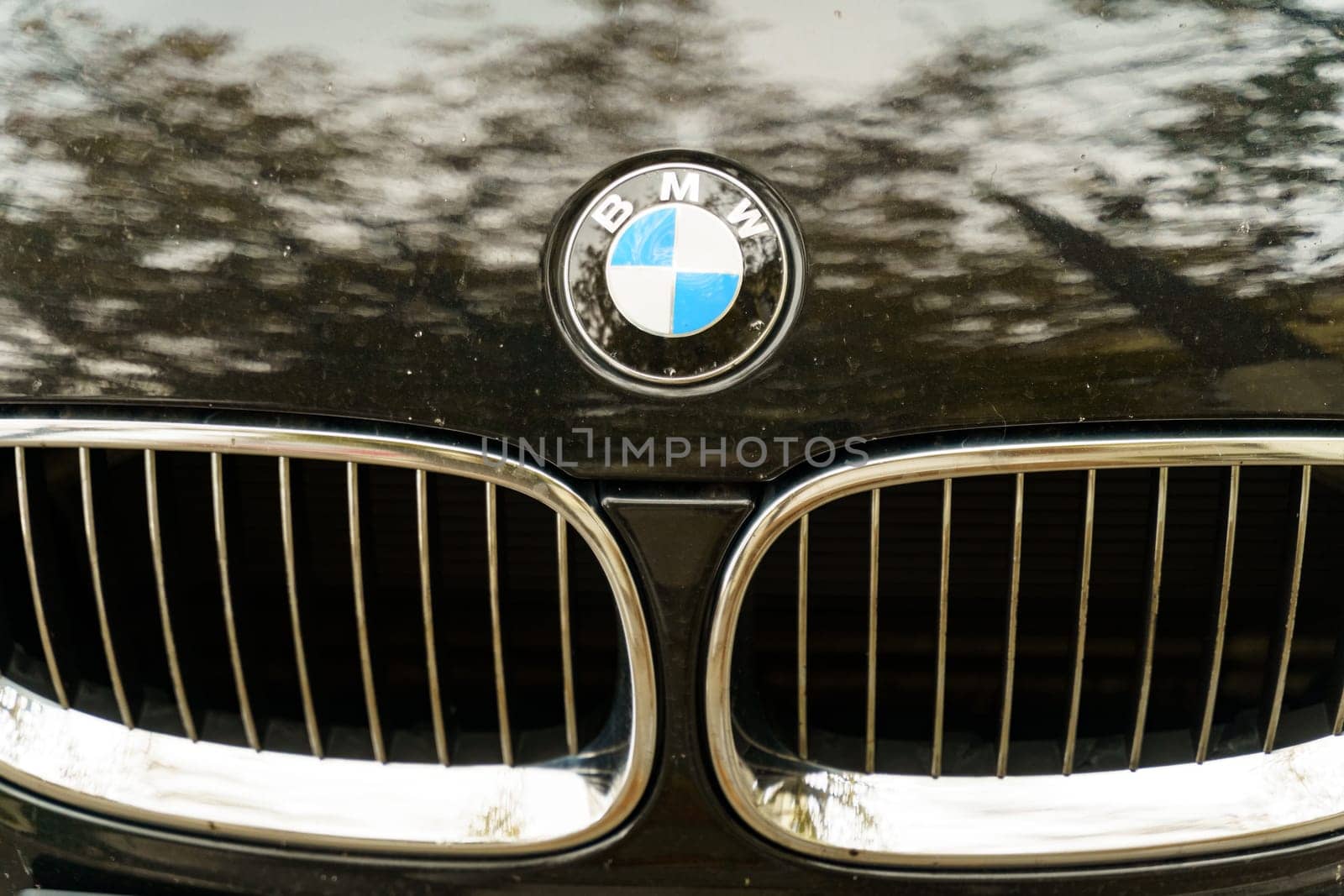 Bobruisk, Belarus - September 24, 2023:Automobile company logo - BMW on a car.