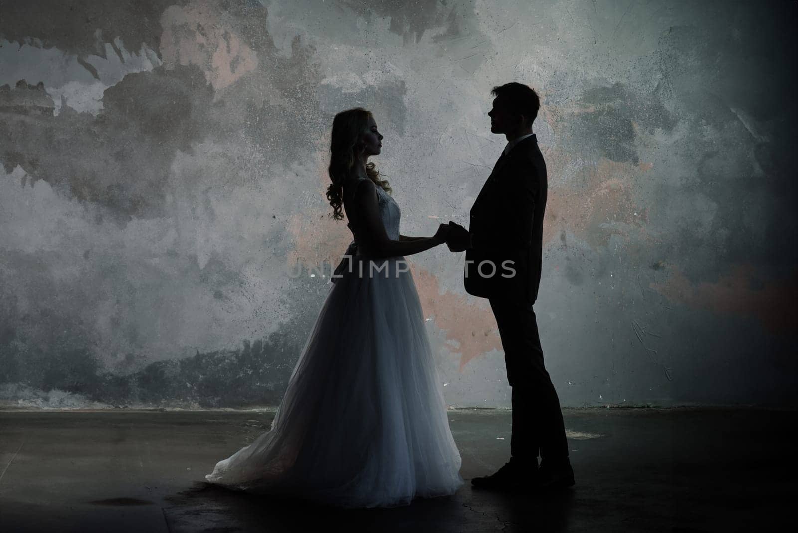 Art fashion studio photo of wedding couple silhouette groom and bride on colors background. by Zelenin