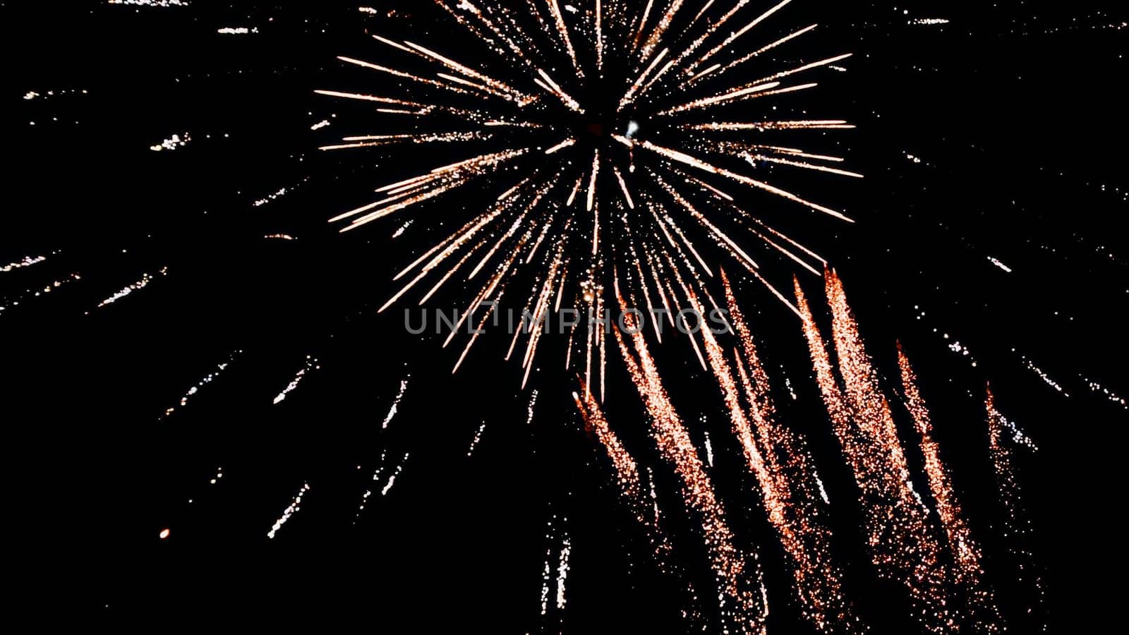 Dazzling firework explodes with vibrant streaks in the dark night sky