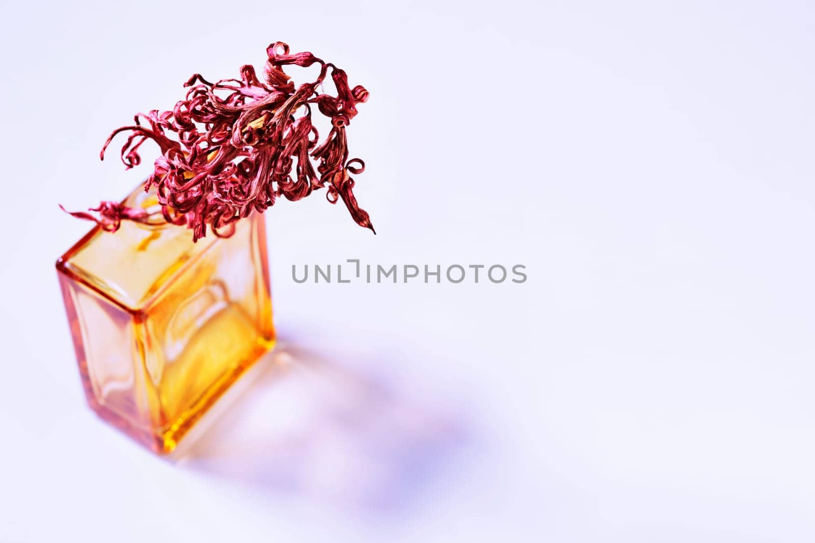 Red dried flower in glass vase on white background , romantic activity , moment dedicated to memories