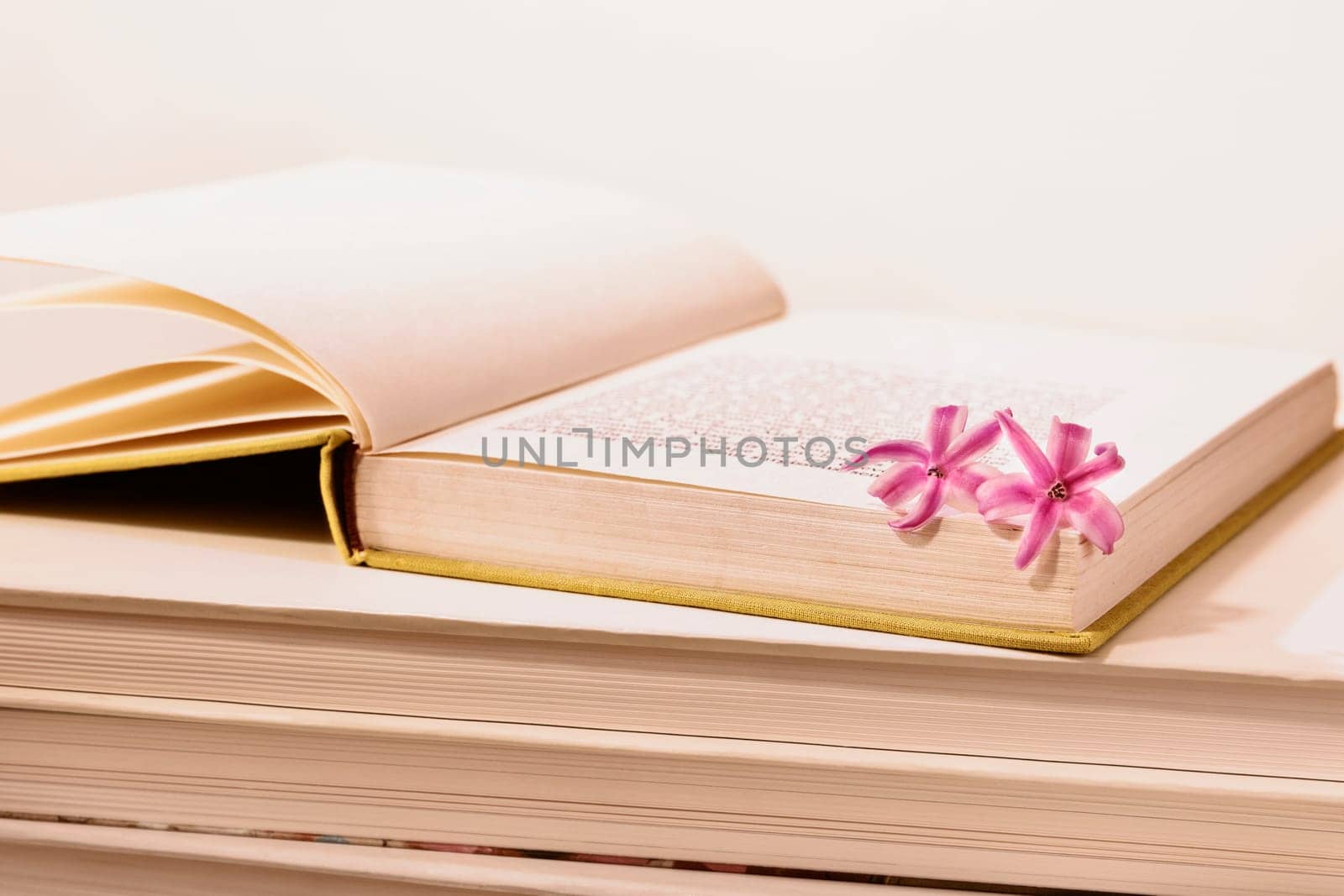  Small pink flowers of common hyacinth on opened  book  , creative and romantic  occupation